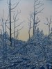 Winter Glint January Morn - near Sand Lake Gate, Algonquin Park